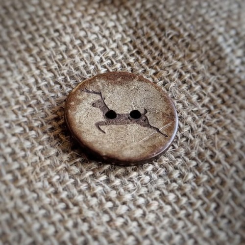 guzik kokosowy jelonek swieta noiklawo.jpg